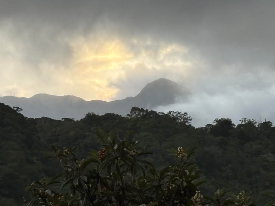Beautiful views