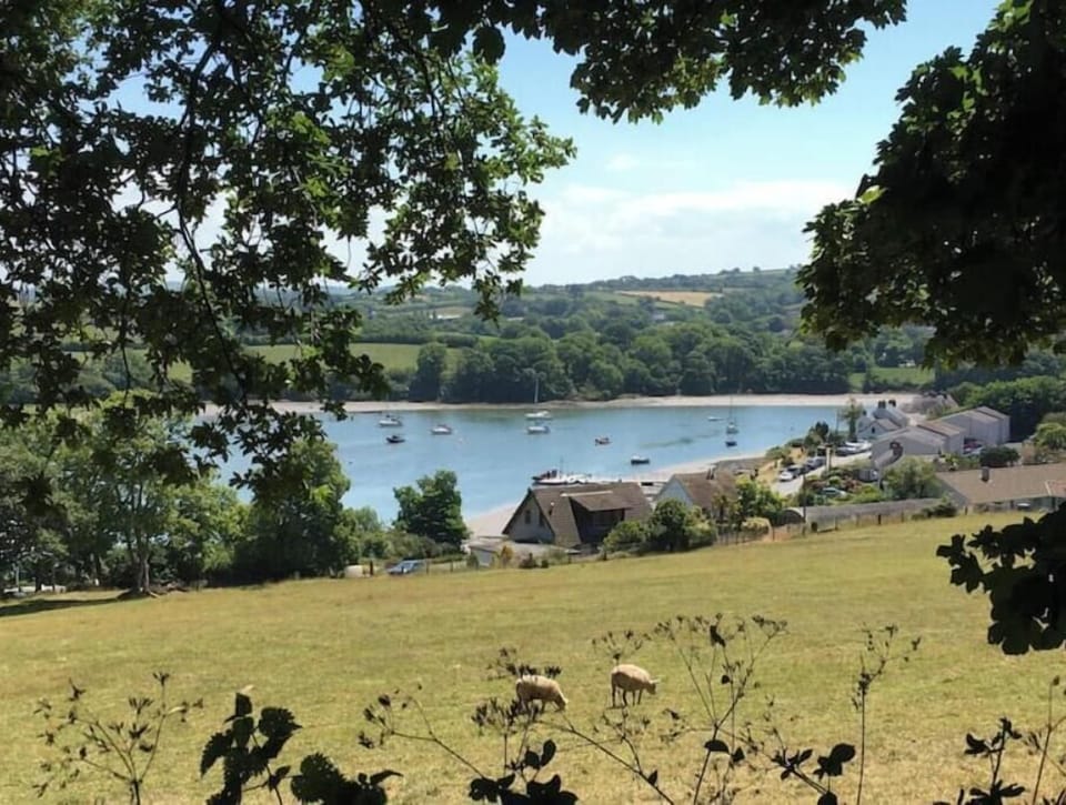 View over moorings from woods above the village