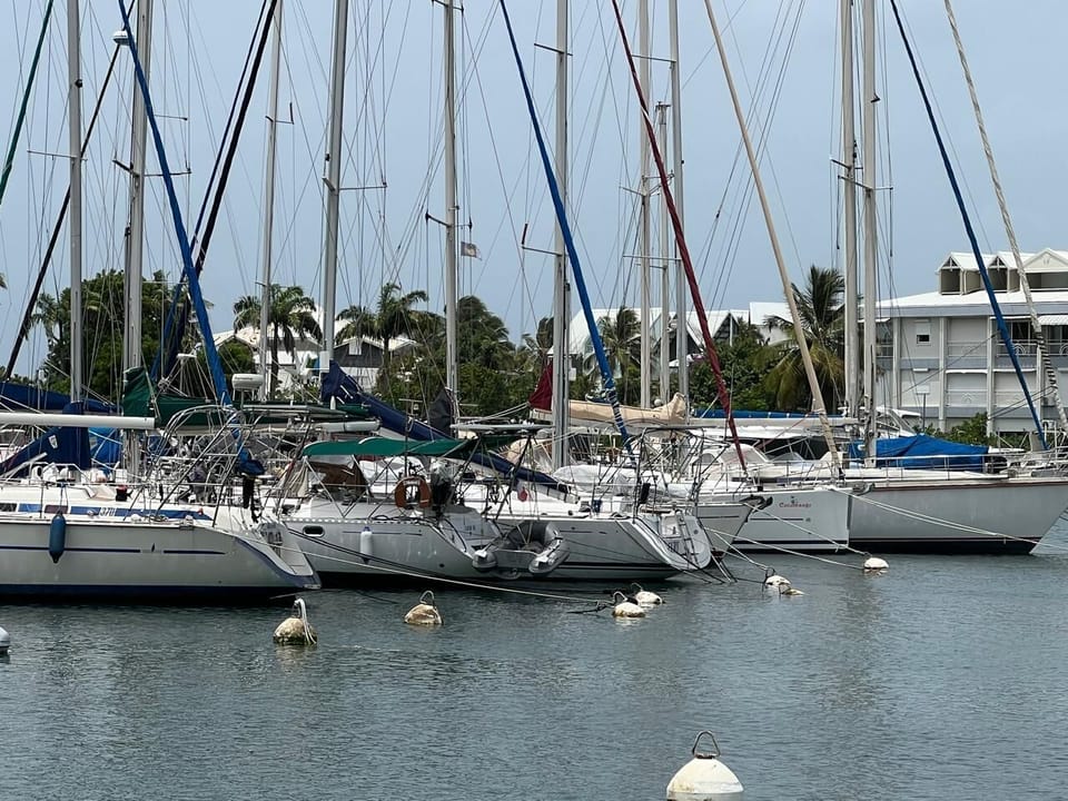 Marina