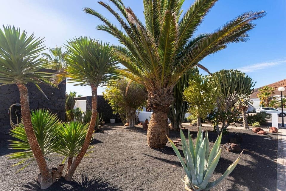 Perfect location at Montana Roja: Green nature meets spectacular Atlantic views.