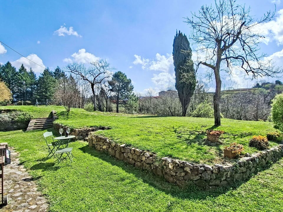 Grass, Tree, Shrub, Garden, Landscape, Grassland, Groundcover, Lawn, Landscaping, Meadow
