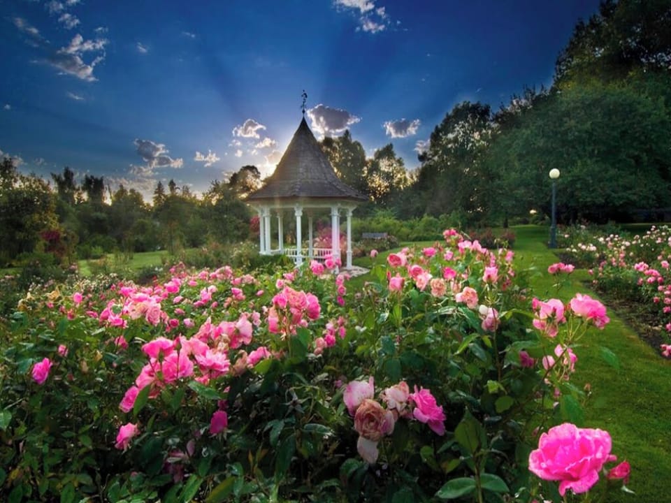 Wander through vibrant blooms and unwind in serene twilight.