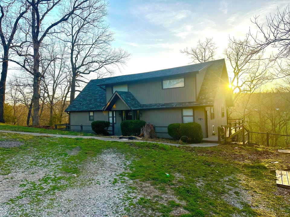 Back yard