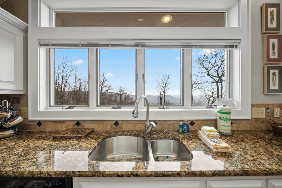 Double Basin Stainless Sink with a Mountain View