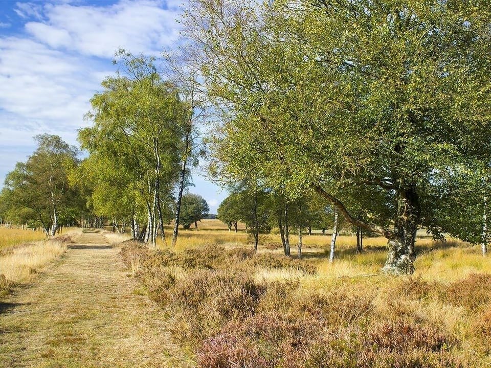 Wander scenic trails and breathe in the surrounding countryside.