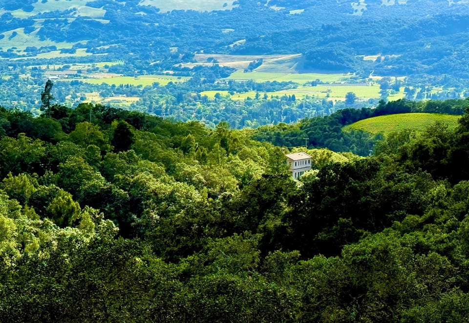 Sonoma Valley Vineyard Views