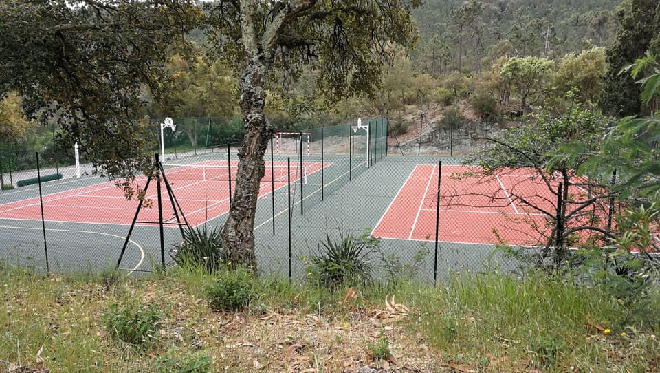Sport court