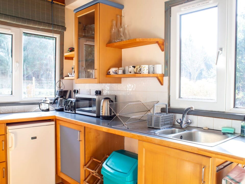 Kitchen, Kitchen Appliance, Countertop, Major Appliance, Kitchen Sink, Cabinetry, Wood, Furniture, Interior Design, Home Appliance
