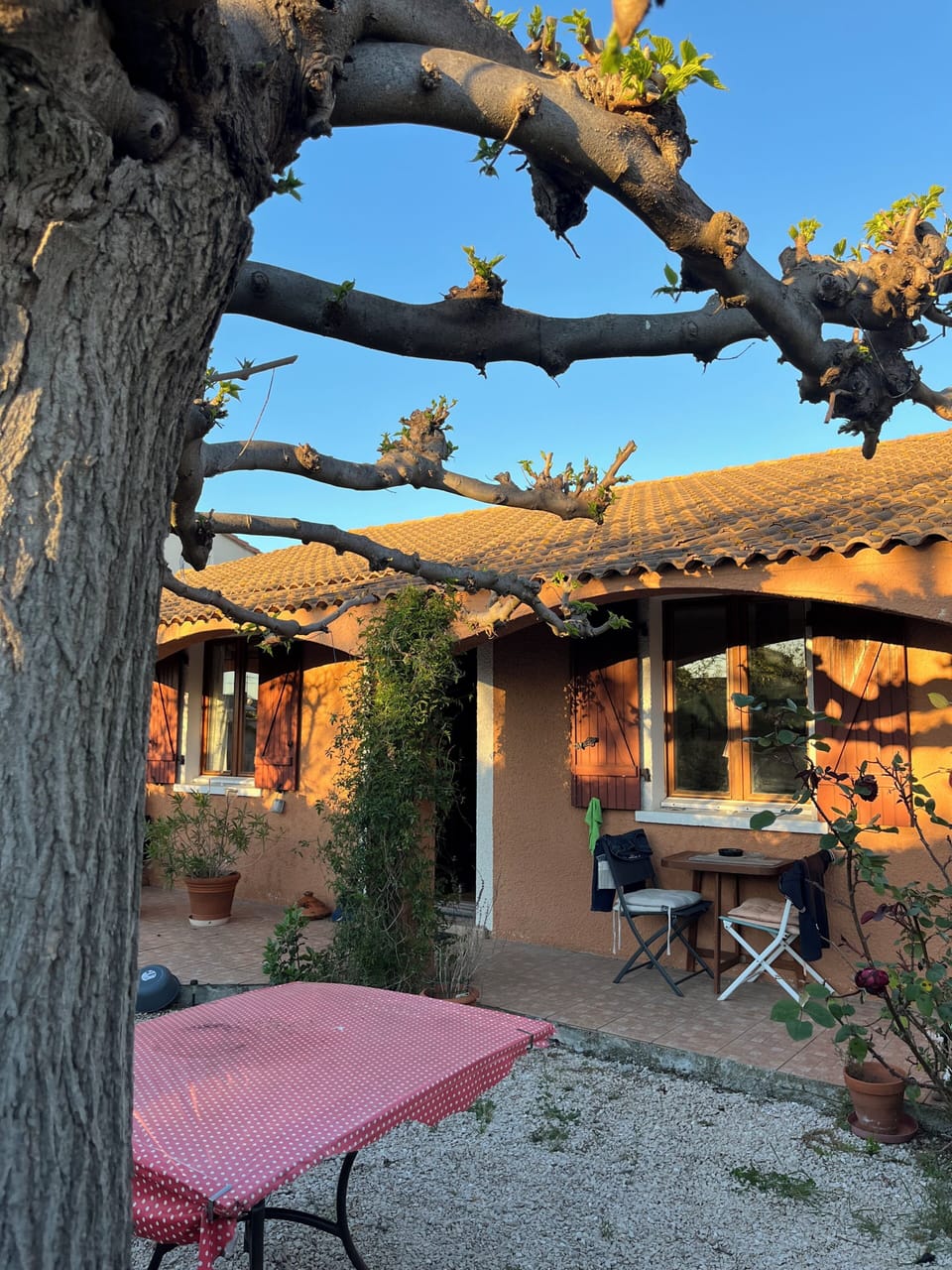 Terrace/patio
