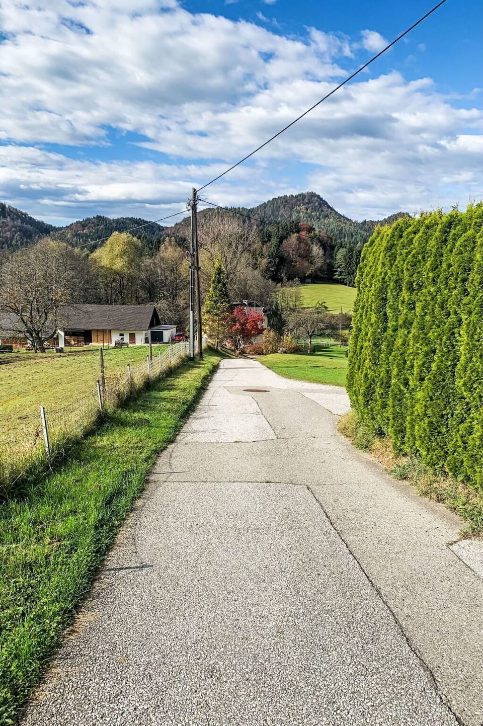 Green, Road Surface, Landscape, Shrub, Land Lot, Rural Area, Overhead Power Line, Slope, Trail, Driveway