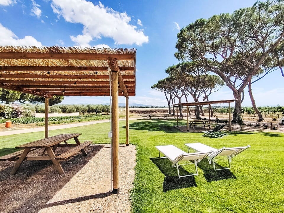 Shade, Garden, Lawn, Landscaping, Park, Outdoor Structure, Lumber