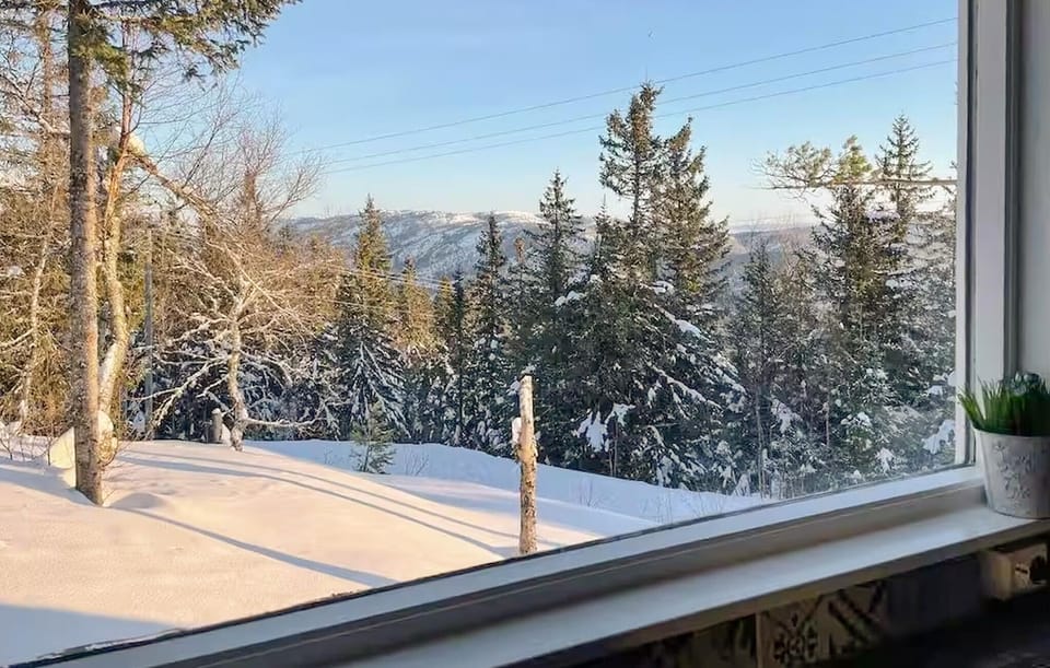 view-from-room