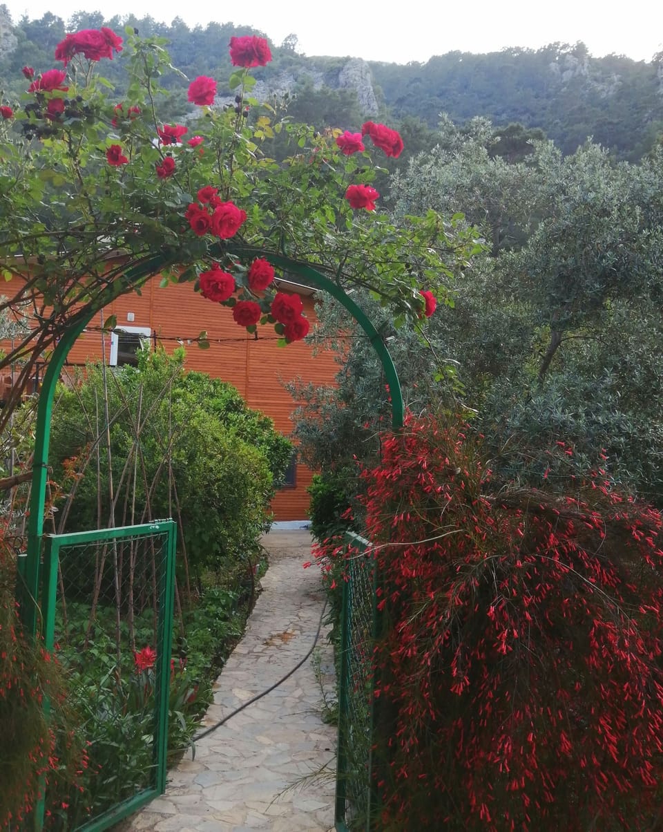 Bungalow ' giriş yolu