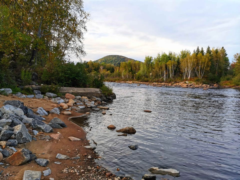 Entre montagnes, forêt et fleuve, vivez le meilleur de la région.