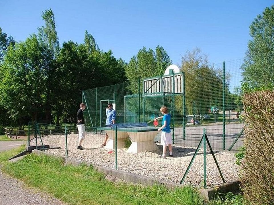 Sport court