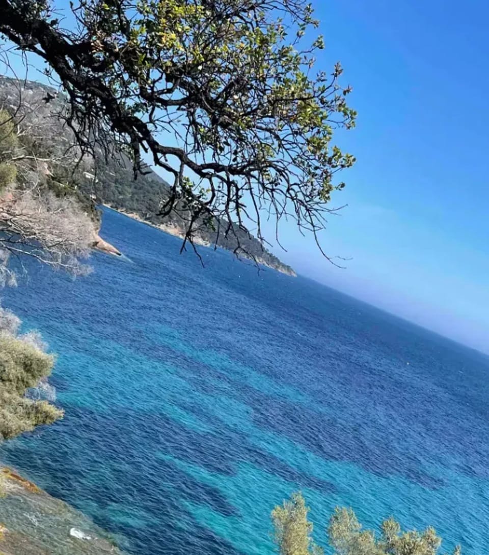 Sea view