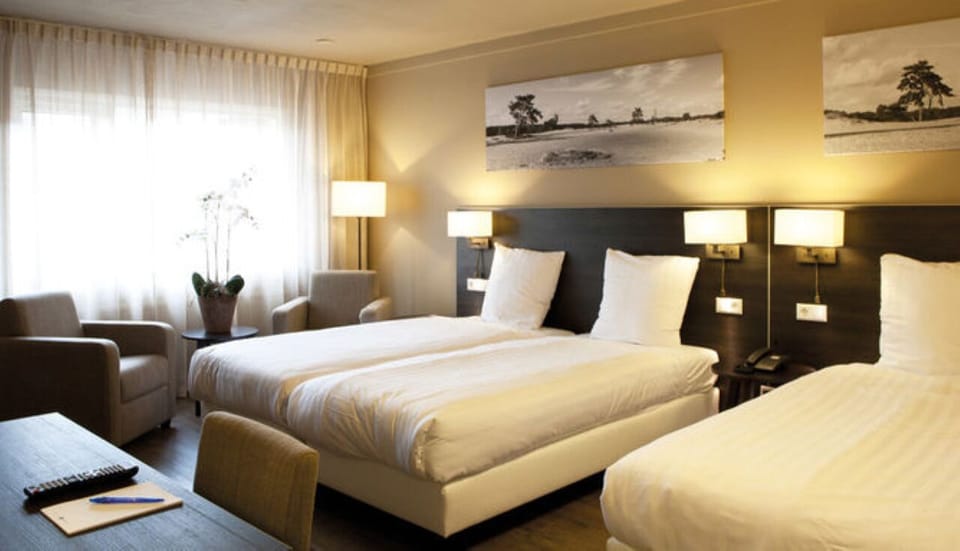 Unwind in crisp linens and soft light after exploring.