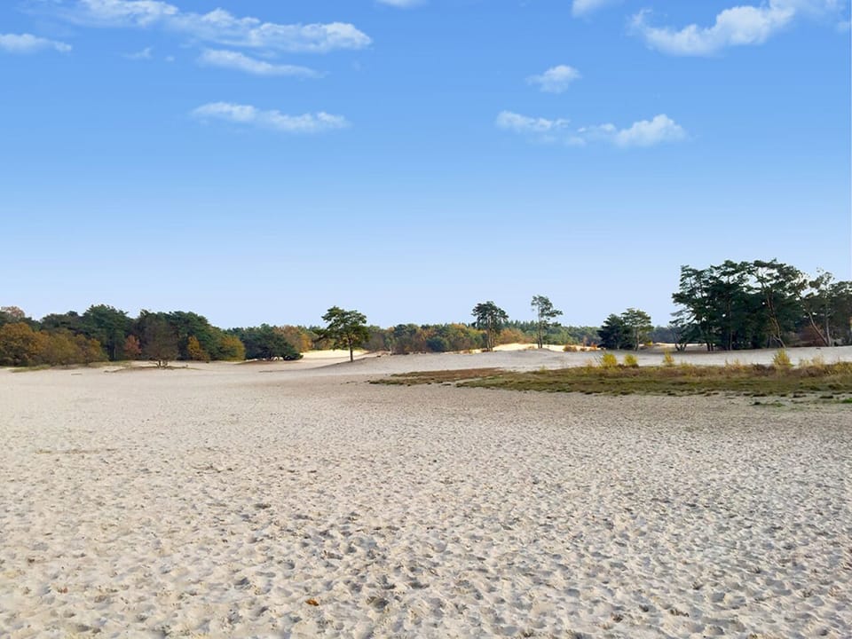 Escape into tranquil dunes and wide-open skies nearby