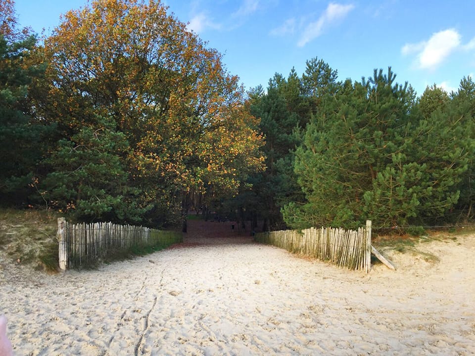 Explore nearby forest trails and breathe in fresh air.