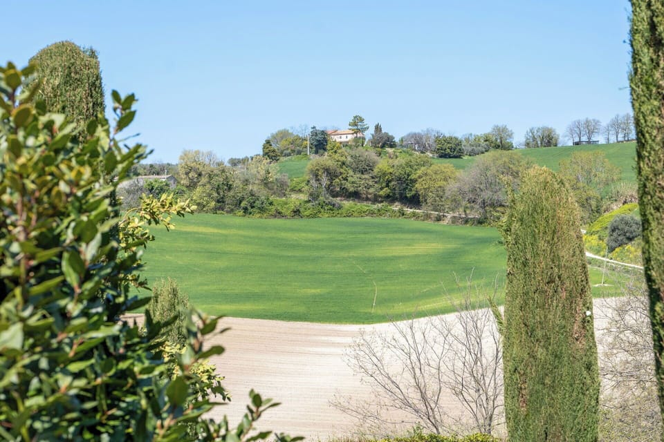 Scenic View