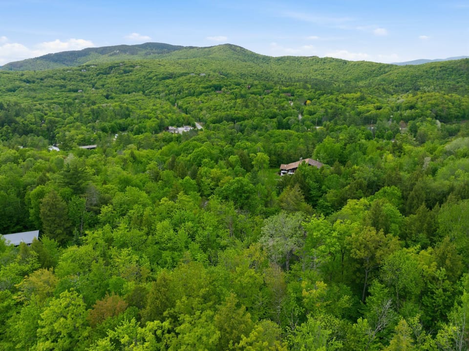 Nestled in the forest, this retreat offers privacy and easy mountain access.