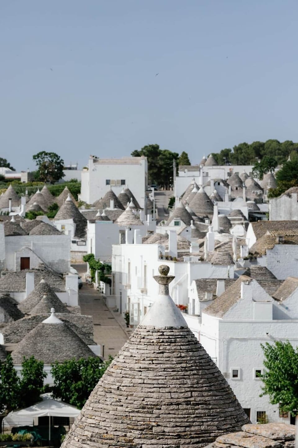 Downton Alberobello  