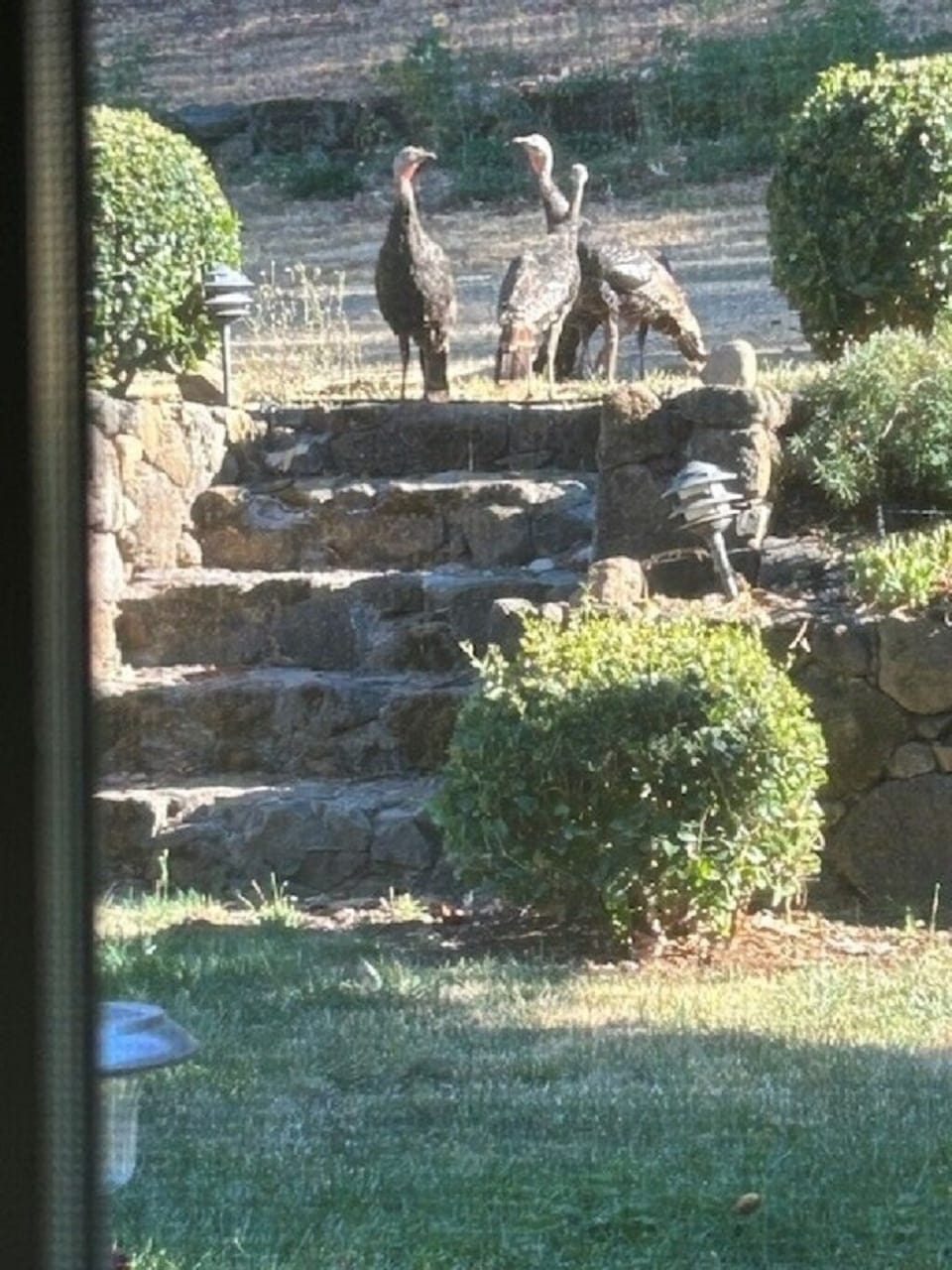 Miscellaneous