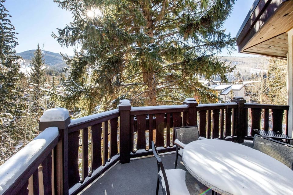 Austria Haus Club Vail Village Rentals