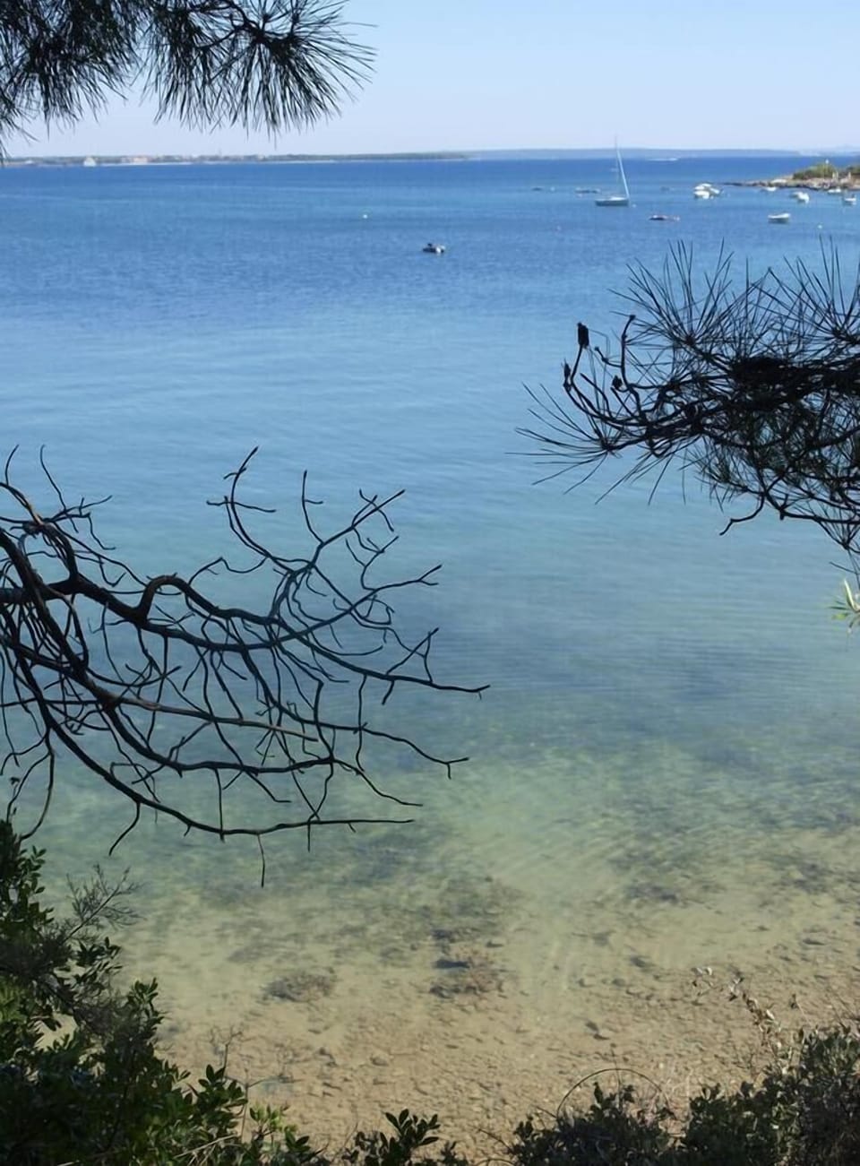 Nearby beaches