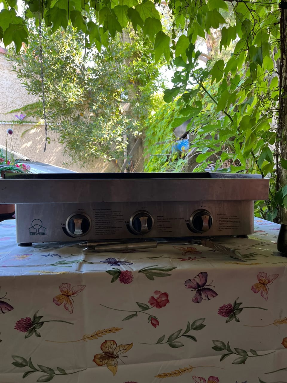 Grill