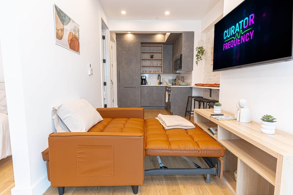 Convertible sofa bed with TV in open living space.  Here are the descriptions for this bedroom + liv
