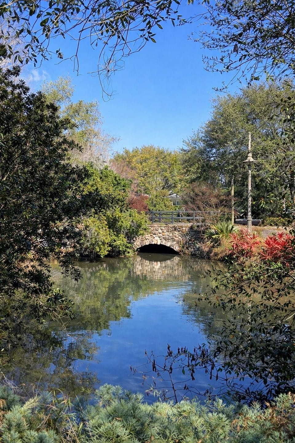 Wilkerson's Creek Park is just a 2 minute walk from Tall Pine Retreat