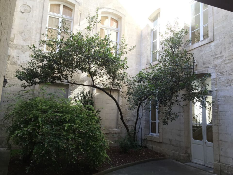 cour intérieure