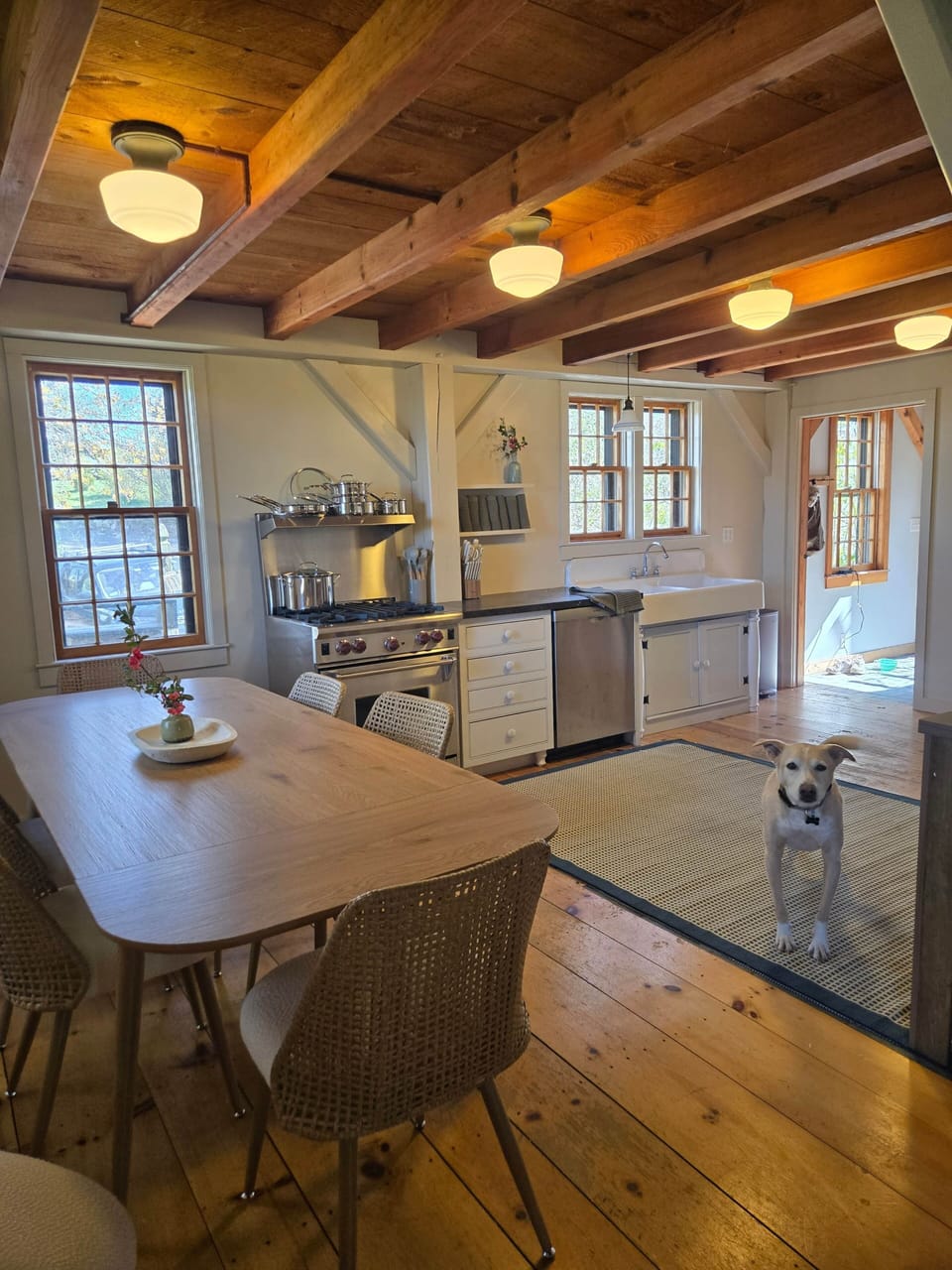 Kitching/dining area, sunny entry way, Sammy the doggo