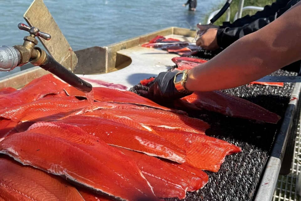 Fish Cleaning Station