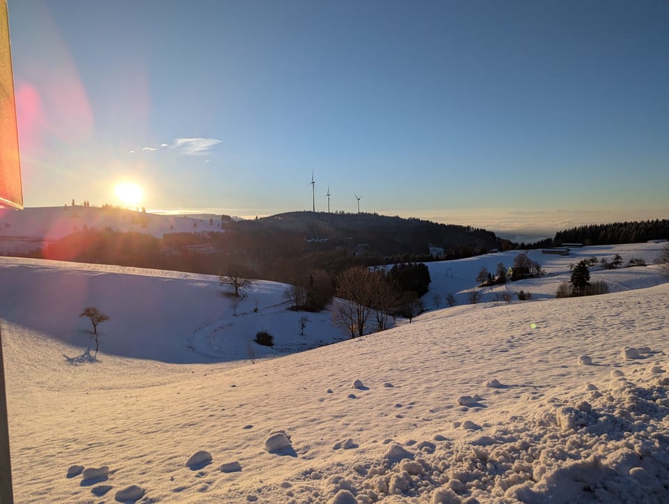View from property