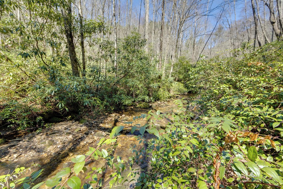 On-Site Creek
