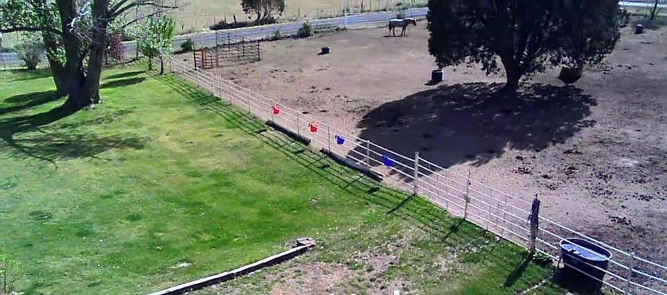 Horse Pasture Available