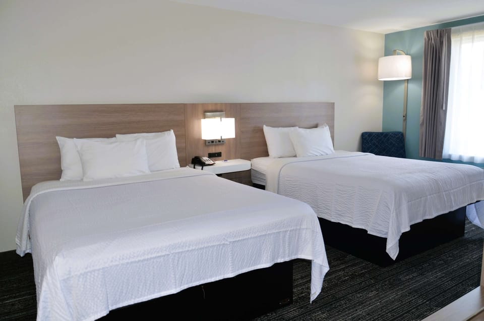 Wake up to soft daylight and fresh, hotel-tucked comfort.