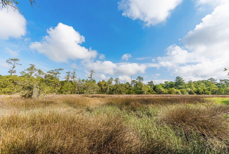 BoHouse's beautiful marsh views right from your backyard