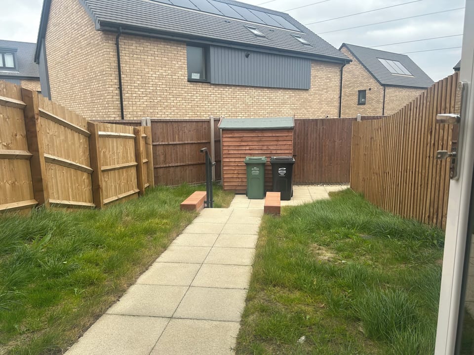 Back garden