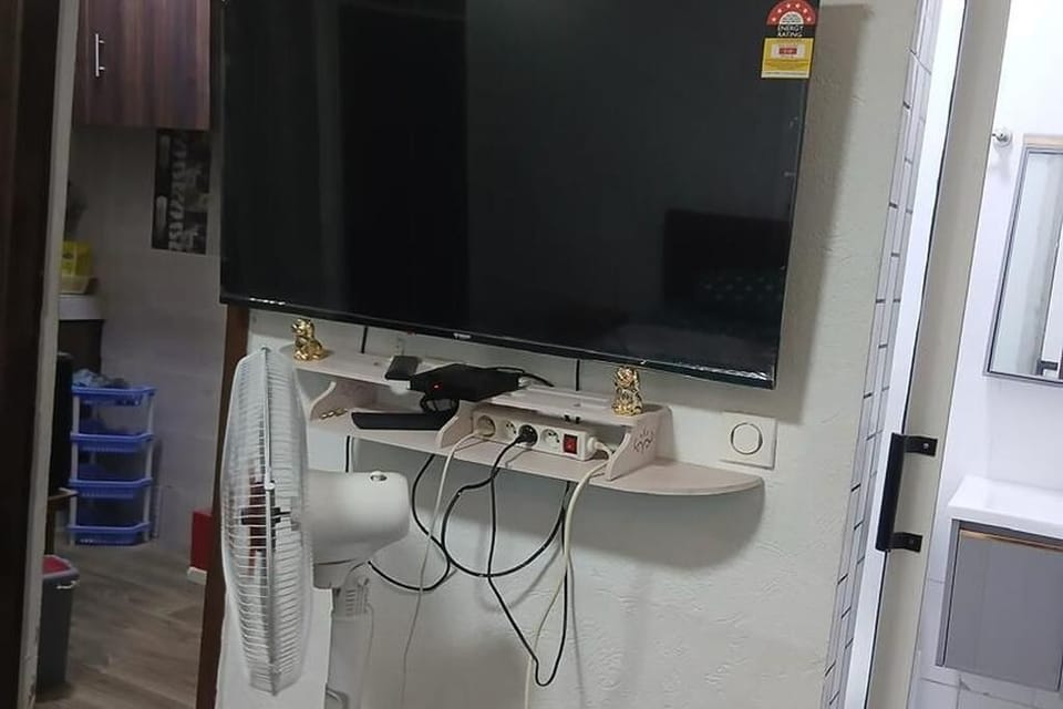 Television