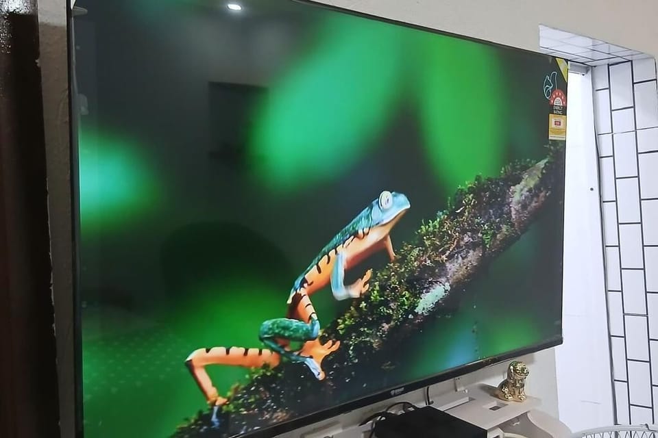 Television