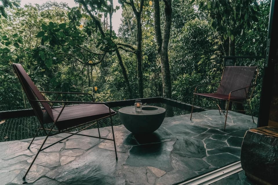 Unwind with sunset drinks on your private forest terrace.