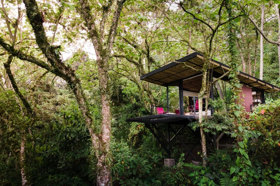 Arrive at your elevated retreat nestled high in the canopy.