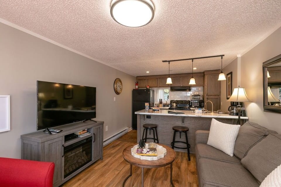 Living room and kitchen and large screen tv