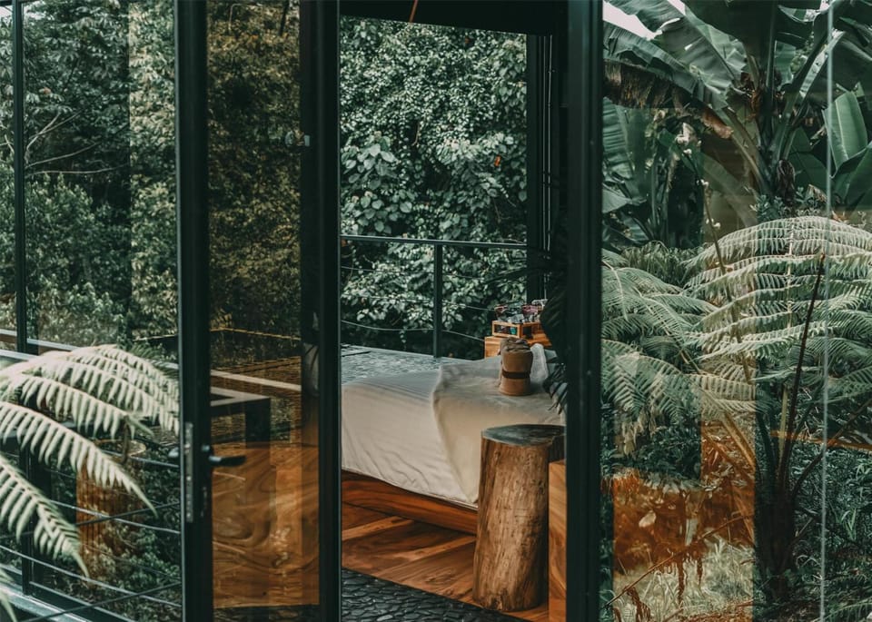 Drift off behind glass walls, immersed in rainforest calm.