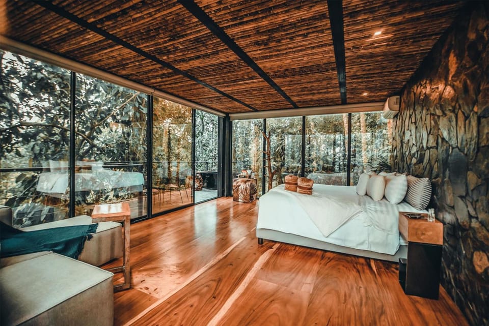 Step into a glass-walled sanctuary floating above the forest canopy.