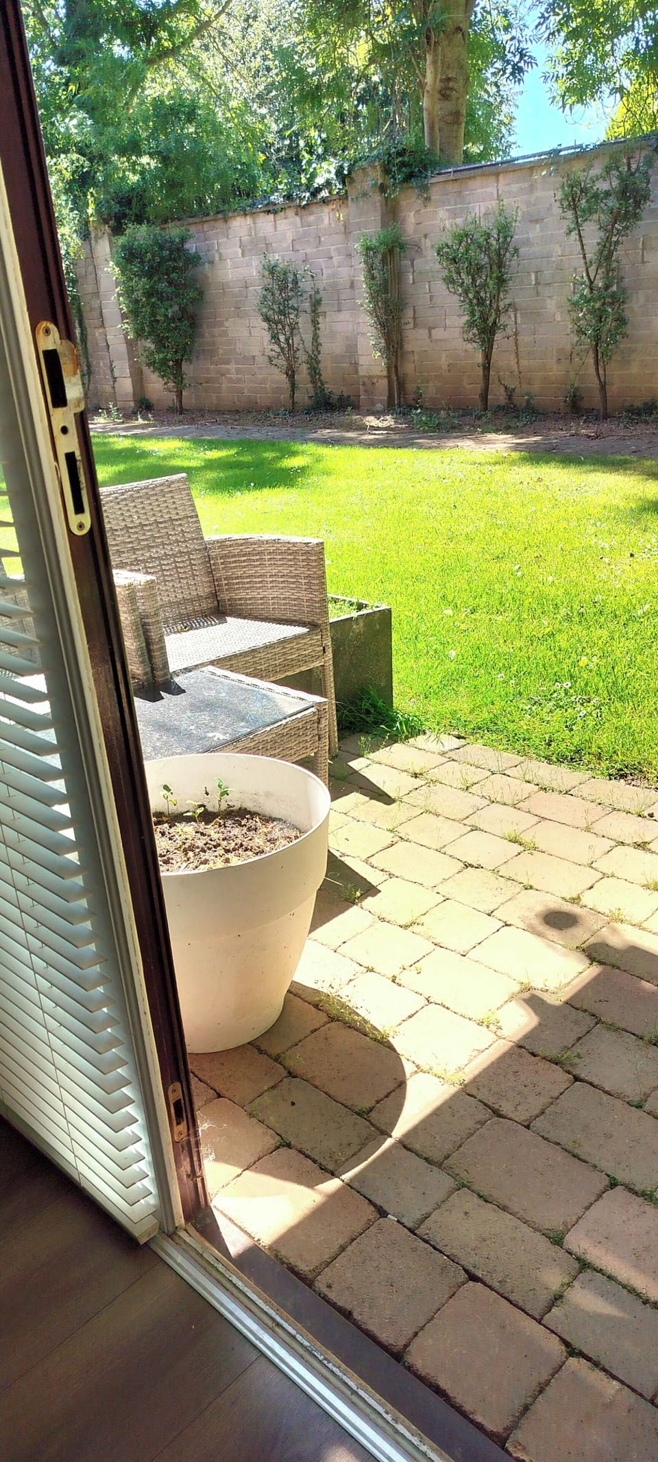 Sunshine on the patio