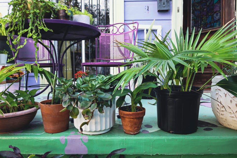 Terrace/patio